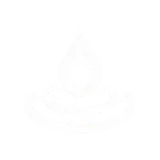 Solvexia logo